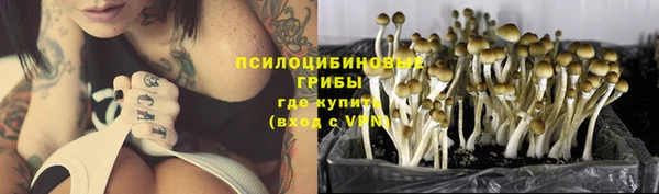 гашик Волоколамск