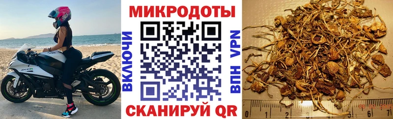 Галлюциногенные грибы ЛСД  купить наркотики сайты  Юрга 